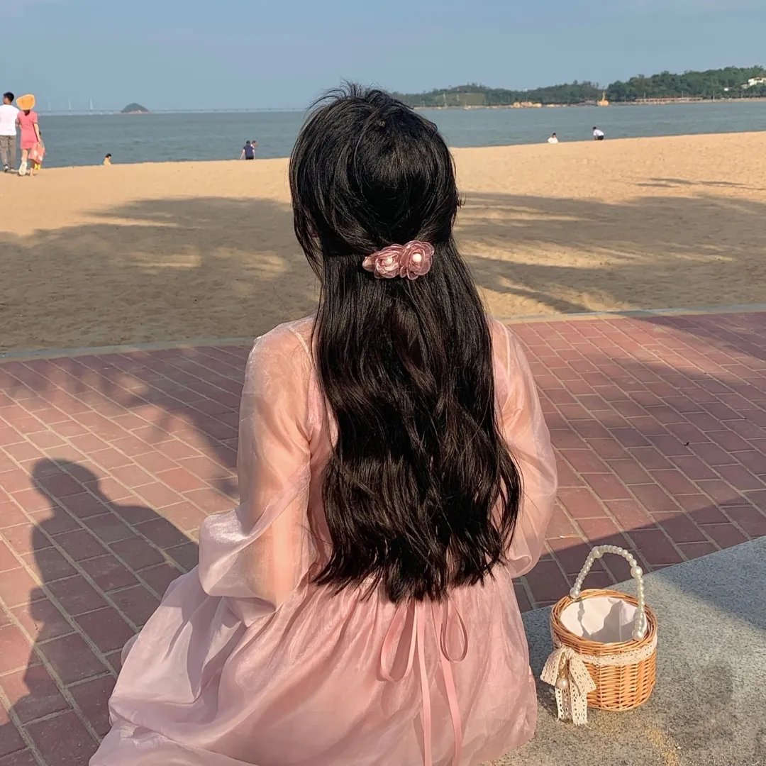 小海龟历险记2封面